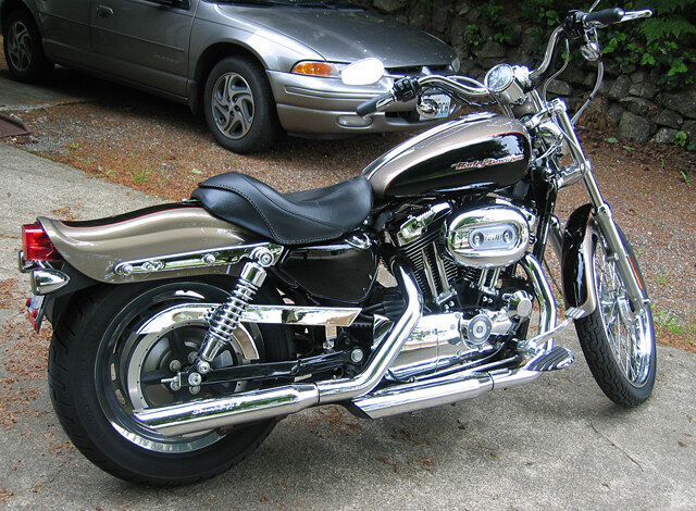 1200 Sportster Custom