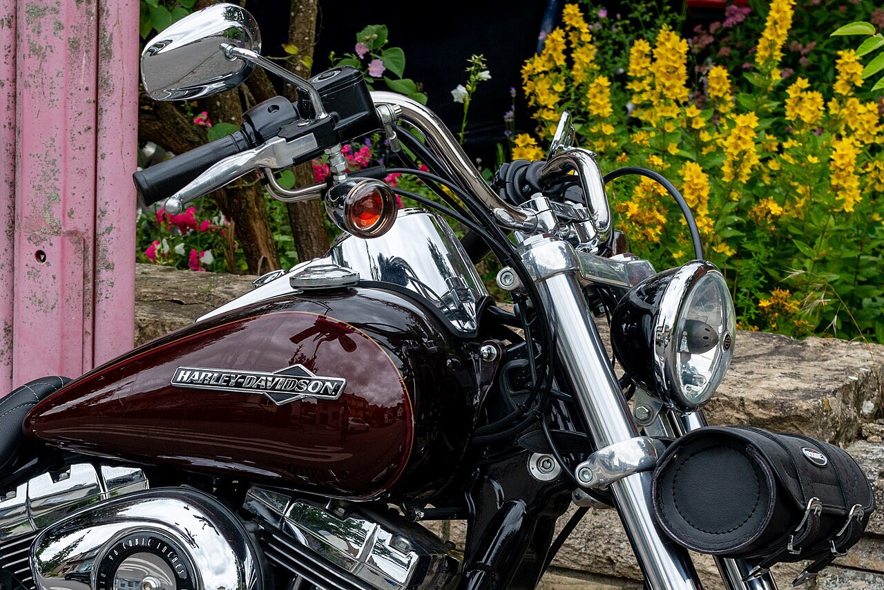Dyna Glide Custom