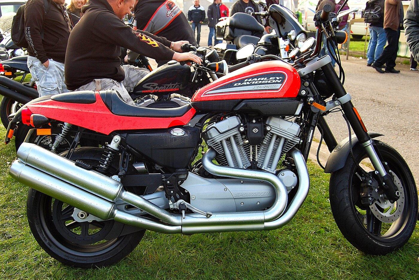 Sportster