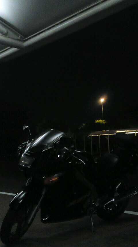 ZZR 250