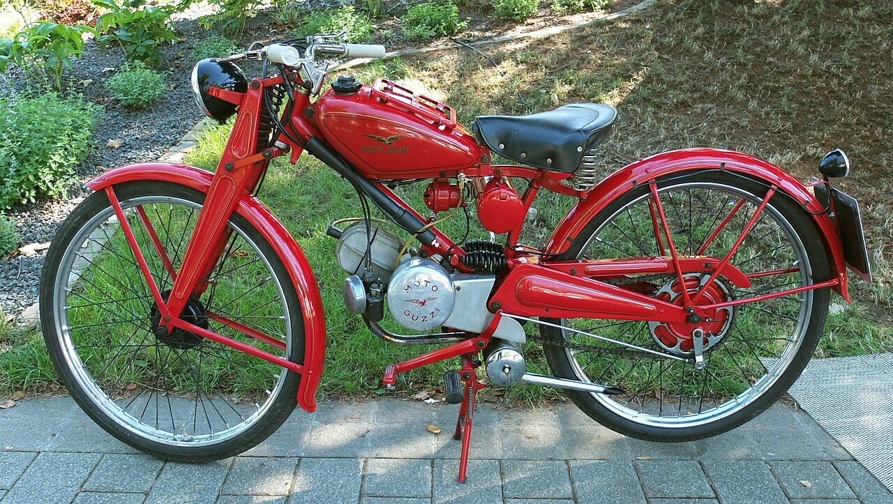 Cardellino 65