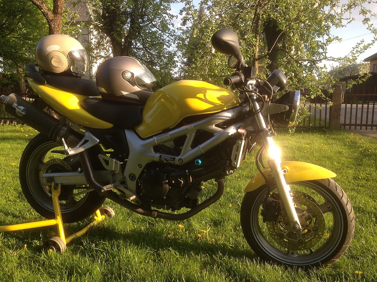 SV