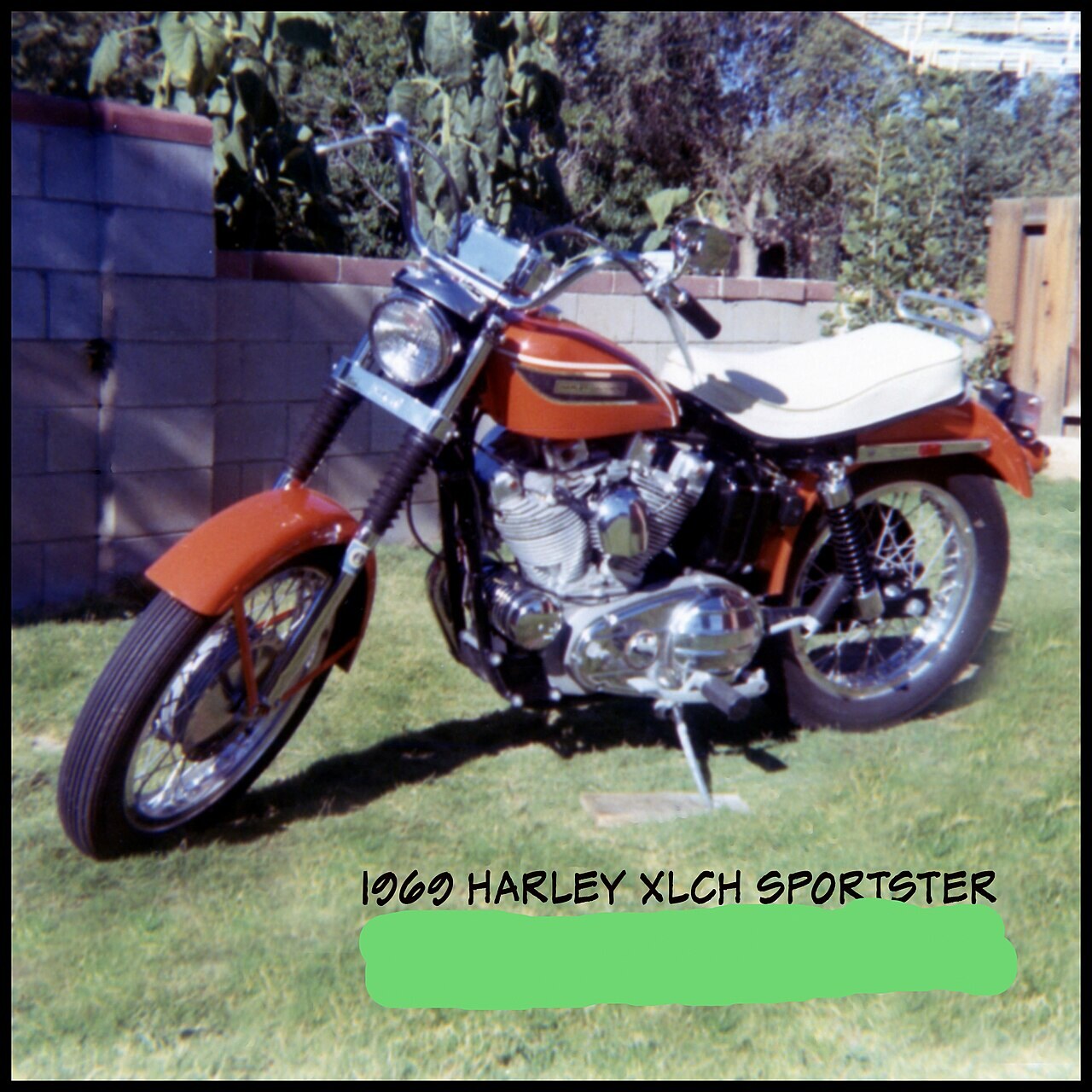 XLCH 900 Sportster