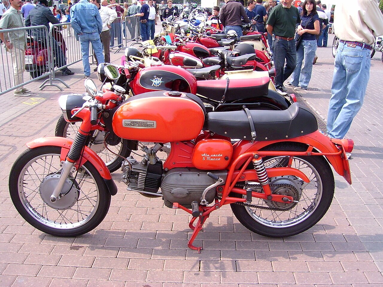 Ala Verde Sport